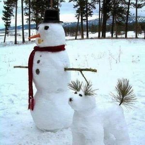 Meet your Posher, Carol